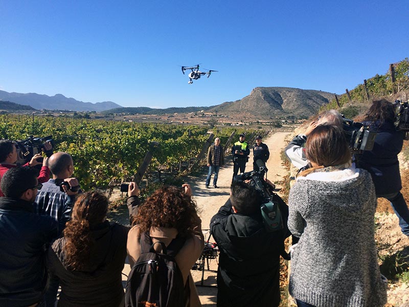 Ningún robo de uva del Vinalopó desde que vigilan con drones