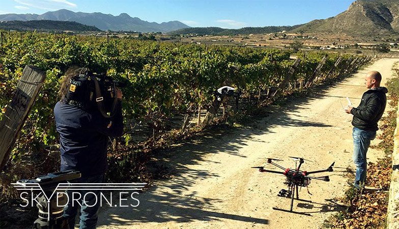 Seguridad aérea privada con drones
