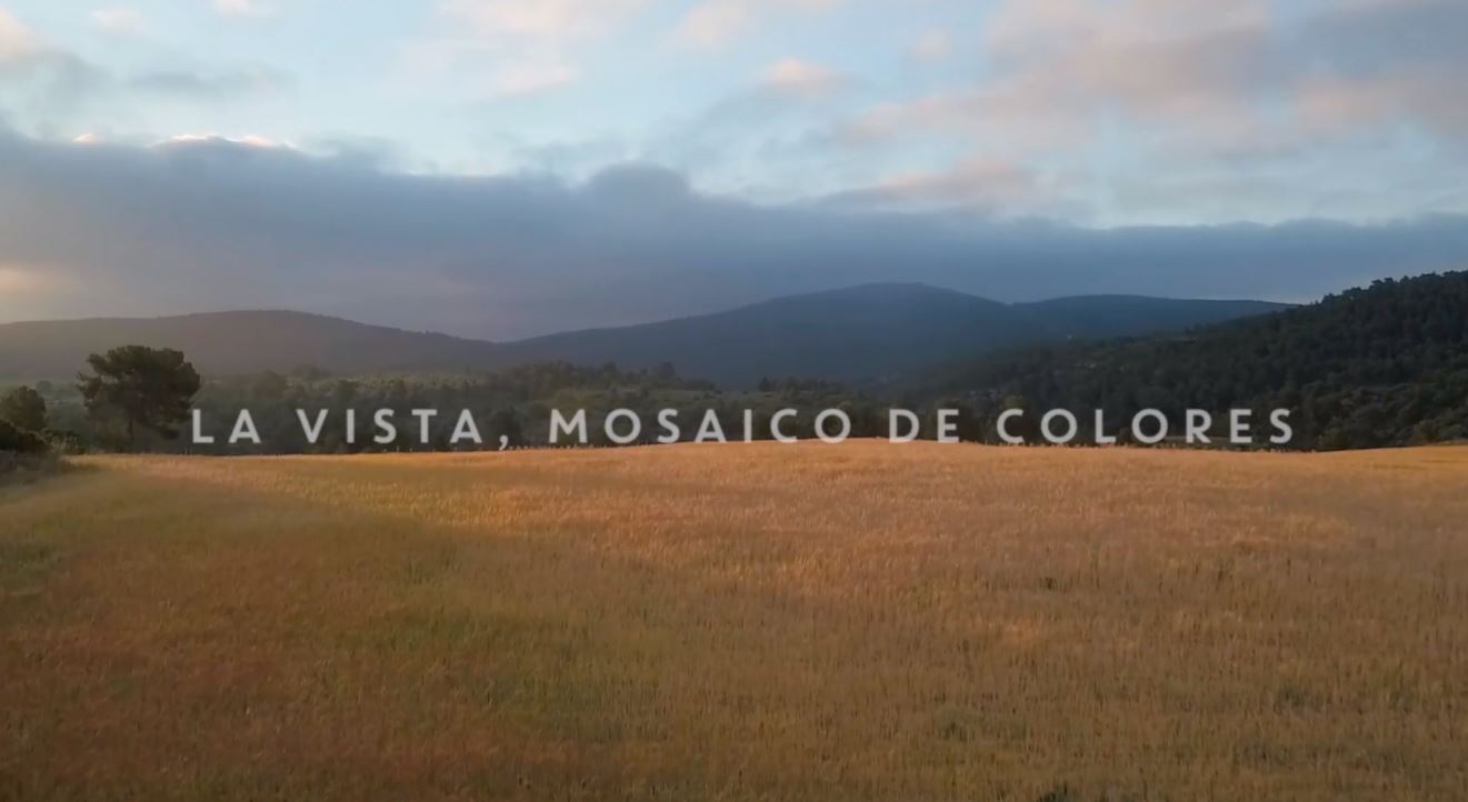 Vídeos aéreos con drones para bodegas y fincas vinícolas: San Blas, los cinco sentidos del vino.